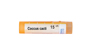 КОКУС КАКТИ 15СН