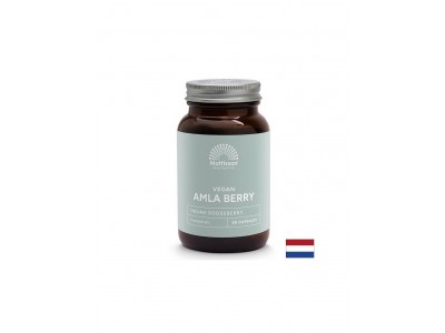 Имунитет - Амла, 500 mg x 60 капсули Mattisson Healthstyle