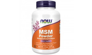 MSM Powder