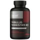 Tribulus Terrestris 90 - Трибулус