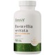Boswellia Serrata 1000 mg - Стави и Кости
